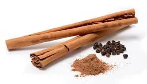 Cinnamon - Premium organic Spices from Swastik Organics