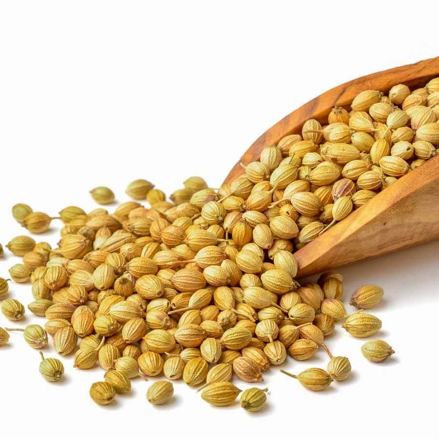 Coriander Whole - Premium organic Spices from Swastik Organics