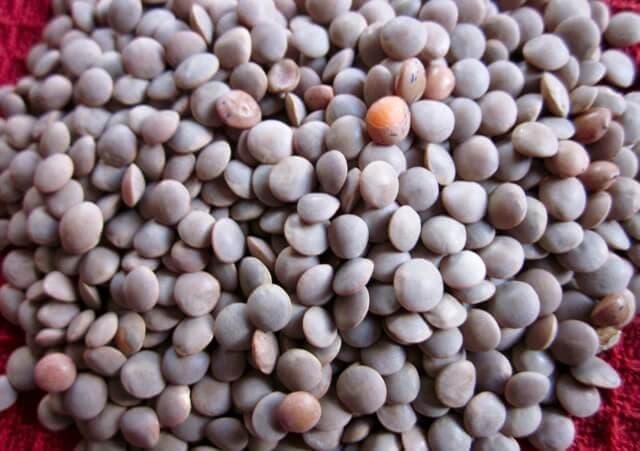 Masoor Whole - Premium organic Pulses from Swastik Organics