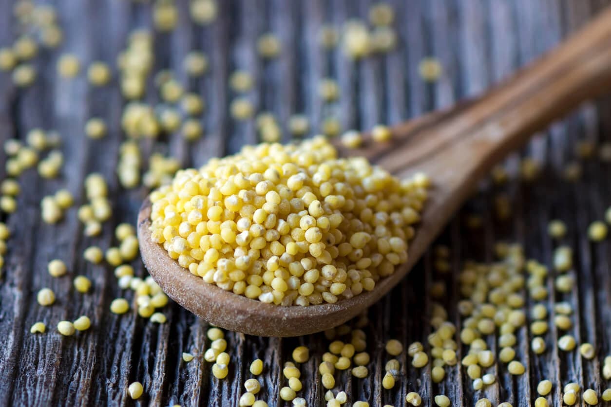 Proso Millet (baragu) - Premium organic Millets from Swastik Organics
