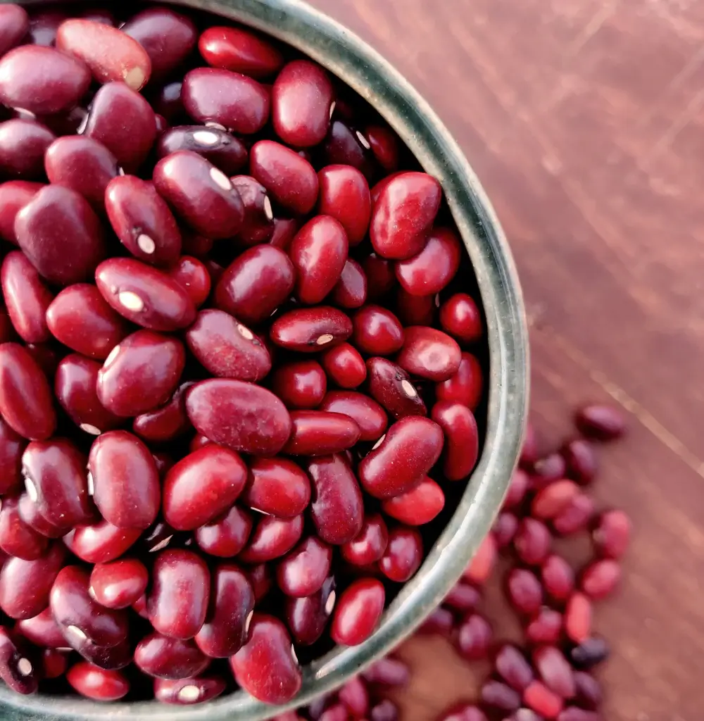 Rajma Jammu - Premium organic Pulses from Swastik Organics