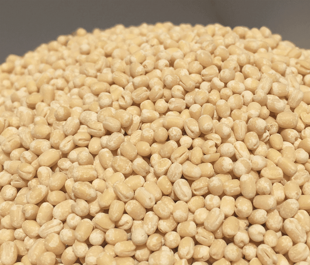 Urad Dal - Premium organic Pulses from Swastik Organics